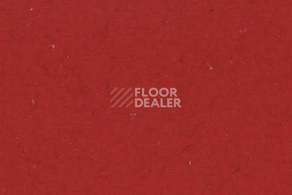 Виниловая плитка ПВХ FORBO Allura Colour/Colour Plus C68039-651039 ruby red фото 1 | FLOORDEALER